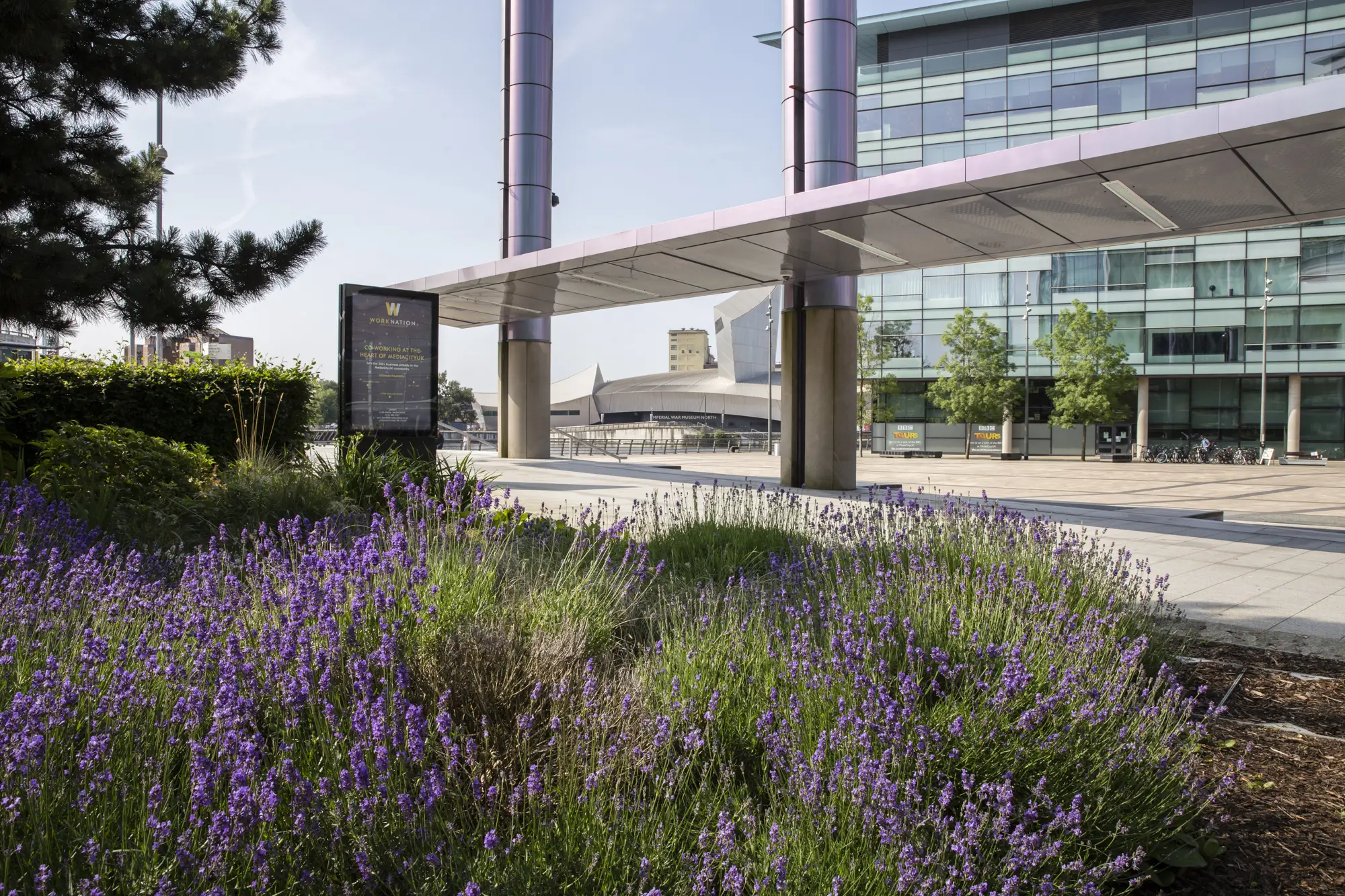 Media City landscape