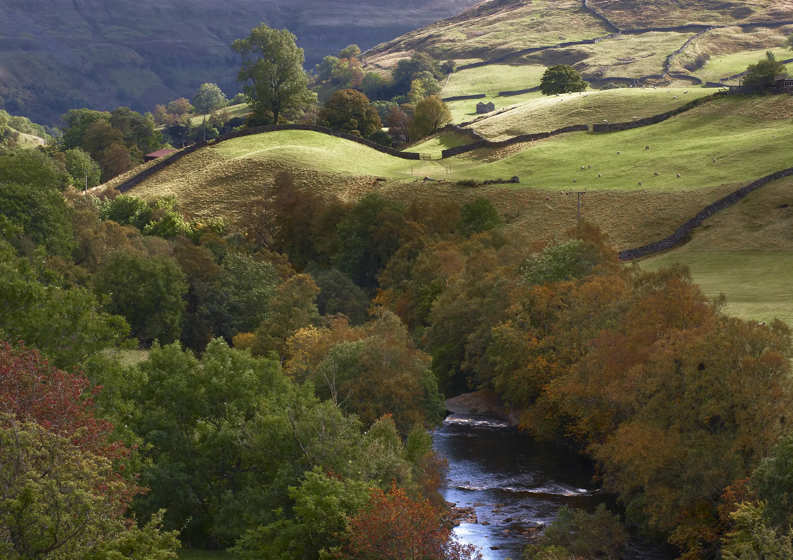 Silvertop Hill Swaledale
