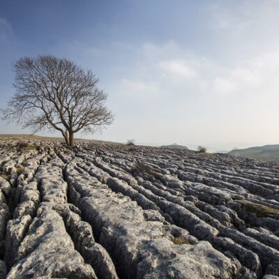 ‘A Yorkshire Summer’ The Tree at Malham Yorkshire Landscapes Clouds