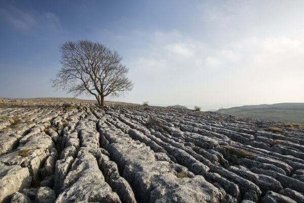 ‘A Yorkshire Summer’ The Tree at Malham Yorkshire Landscapes Clouds 2