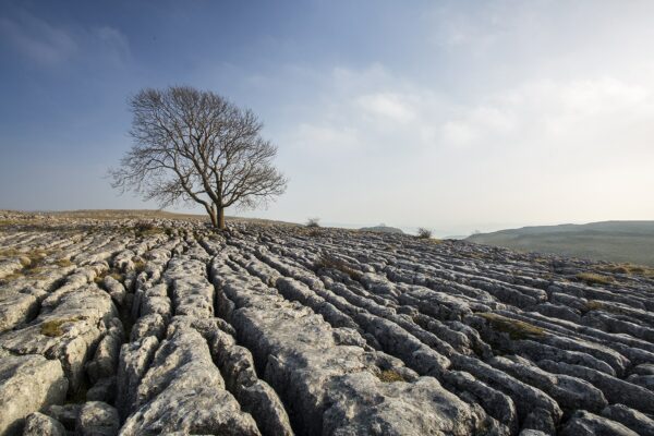 ‘A Yorkshire Summer’ The Tree at Malham Yorkshire Landscapes Clouds 2