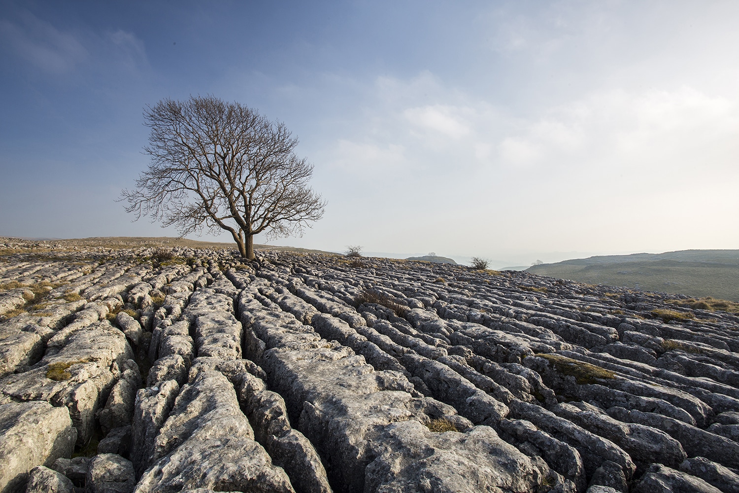 ‘A Yorkshire Summer’ The Tree at Malham Yorkshire Landscapes Clouds