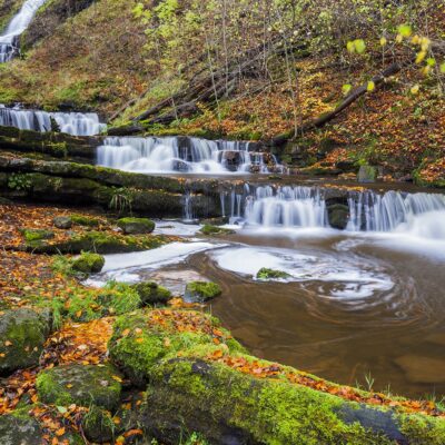 Autumn at Scalebar Force Waterfall Yorkshire Landscapes Autumn