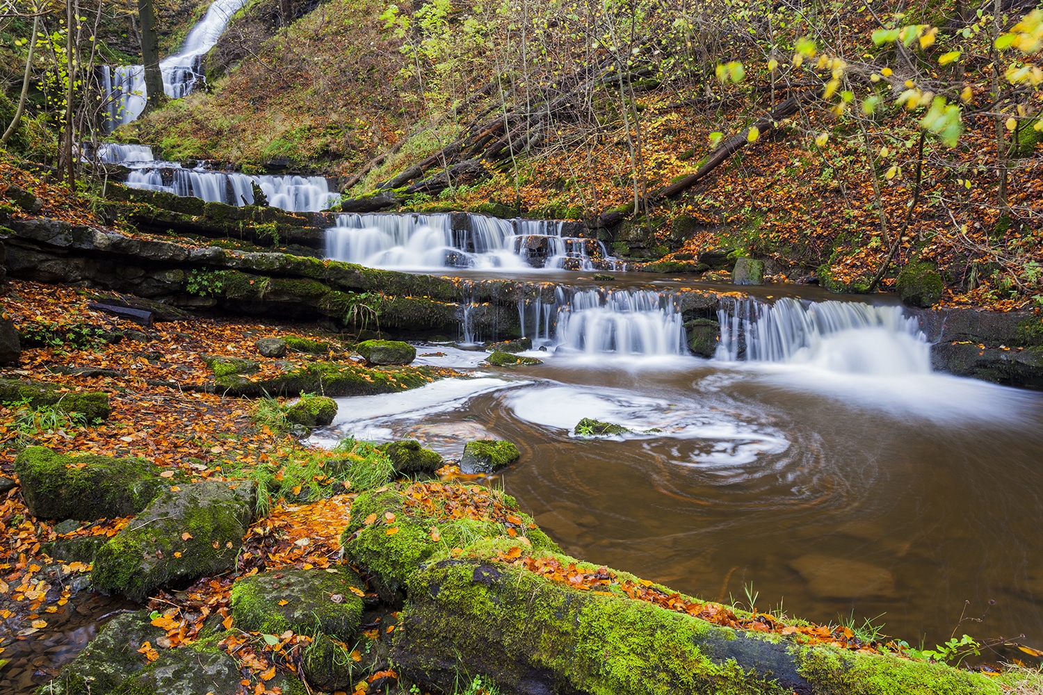 Autumn at Scalebar Force Waterfall Yorkshire Landscapes Autumn