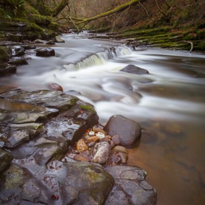 Brock Bottoms Portrait | Forest Of Bowland Landscapes Photography Autumn