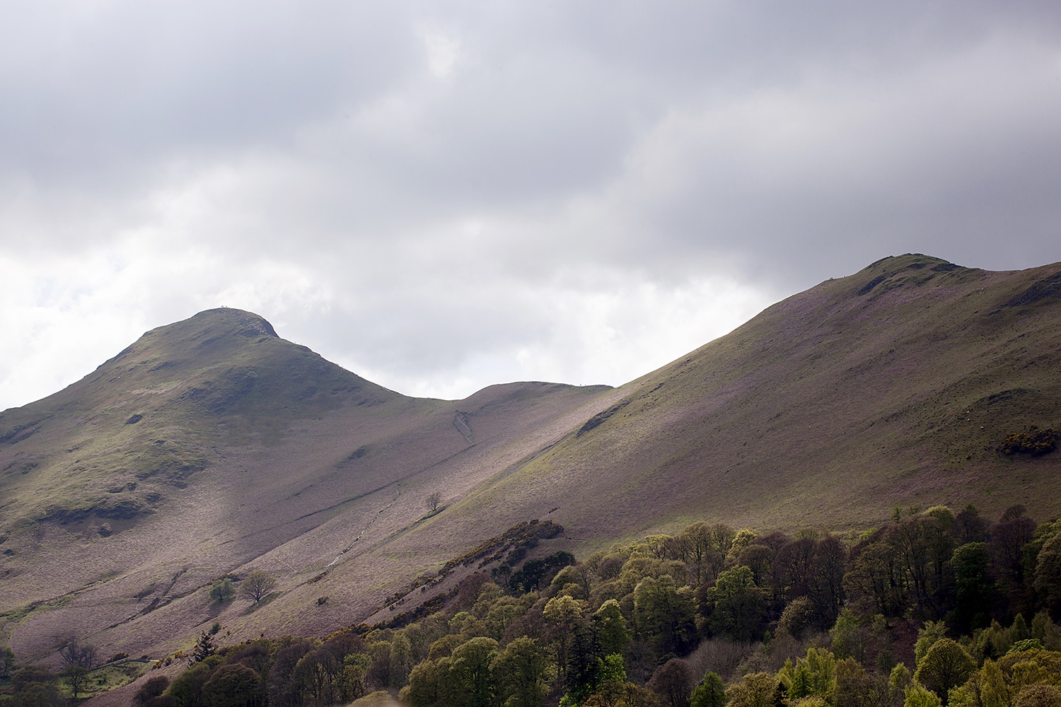 Catbells From Derwentwater Lake District Landscapes Catbells