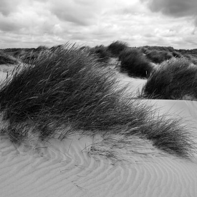 Formby Sand Dunes Coastal Photograph Coastal Landscapes Black and White