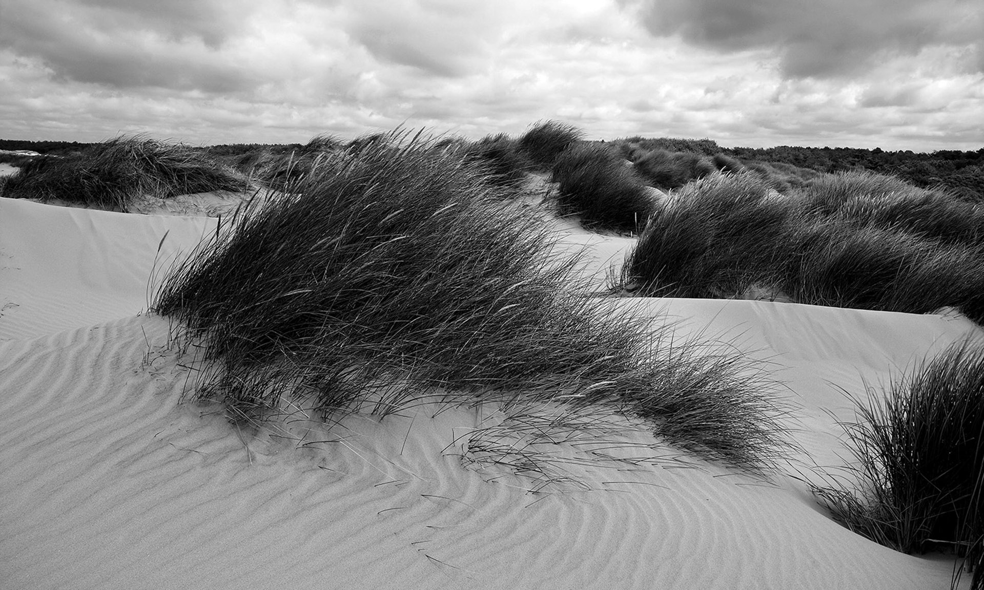 Formby Sand Dunes Coastal Photograph Coastal Landscapes Black and White