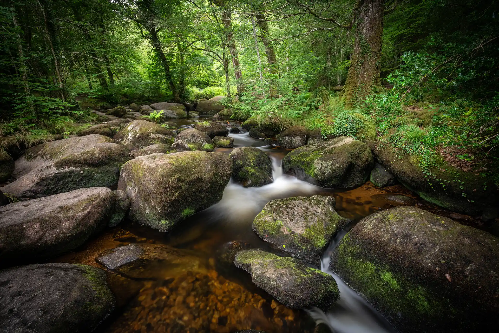 Devon Dartmoor landscapes photography