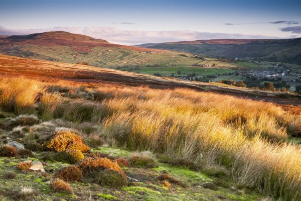 ‘Morning light’ Yorkshire Yorkshire Landscapes colour 2
