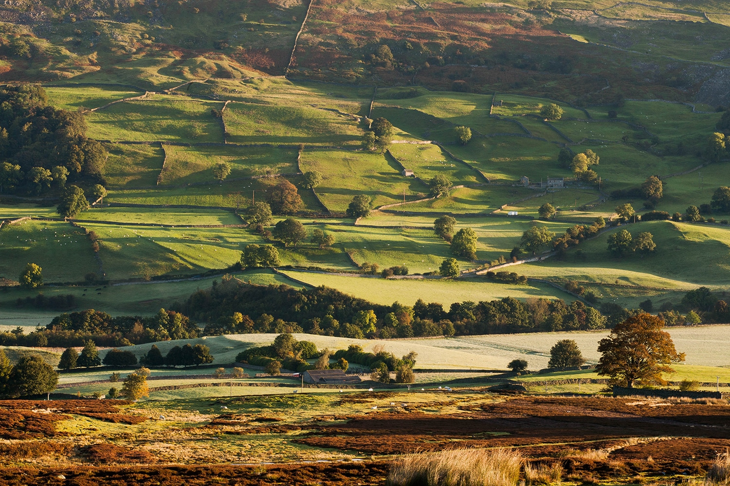 ‘Patchwork’ Landscape Photograph Yorkshire Landscapes colour