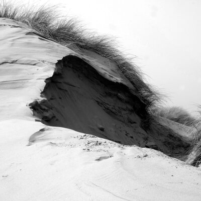 Formby Sand Dunes Landscape Coastal Landscapes Black and White