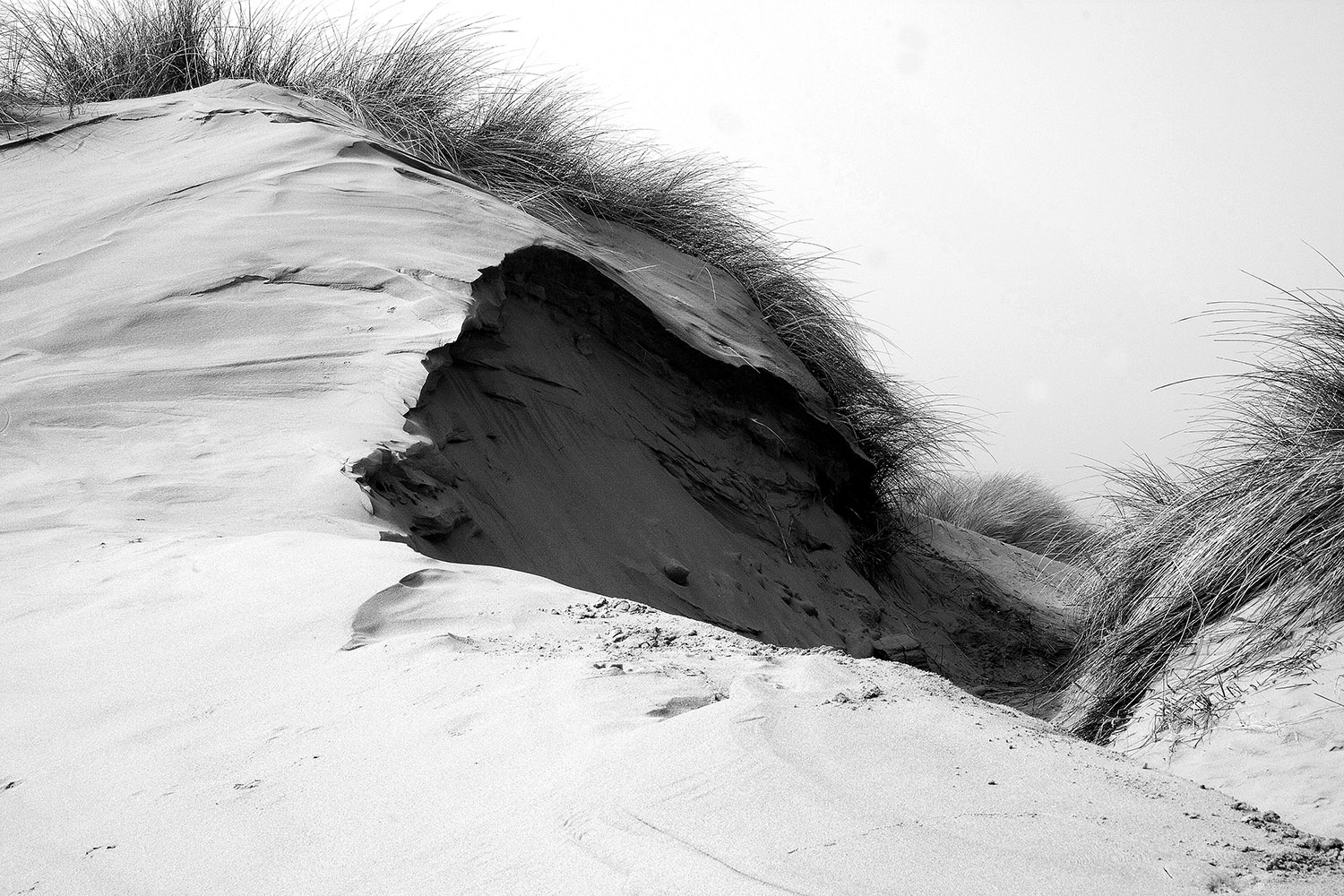 Formby Sand Dunes Landscape Coastal Landscapes Black and White