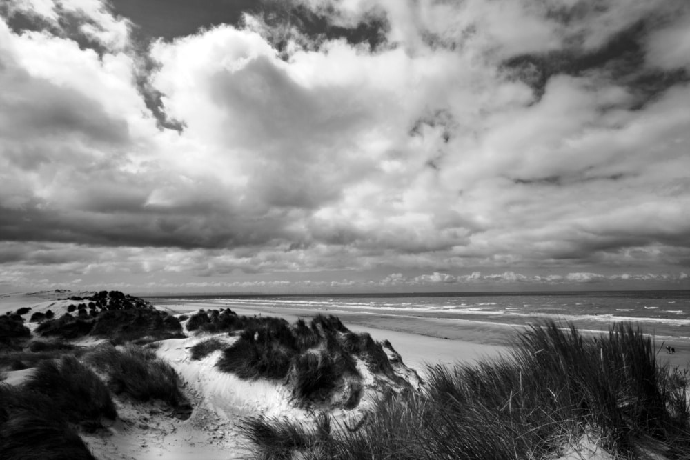 The Dunes at Formby Point. Coastal Landscapes Black and White