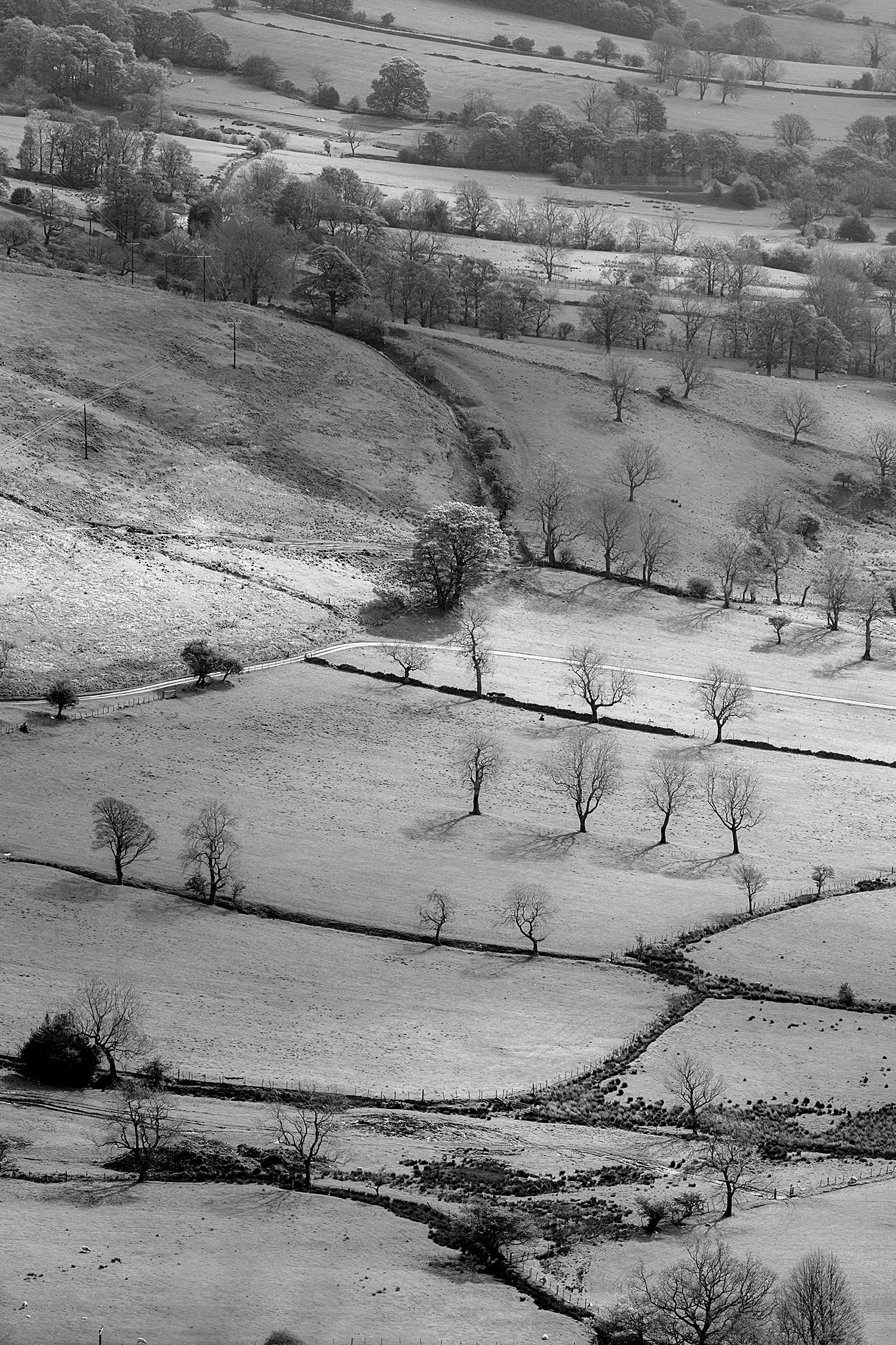 Hope Valley Fields, Landscape Photography Peak District Landscapes Black&White