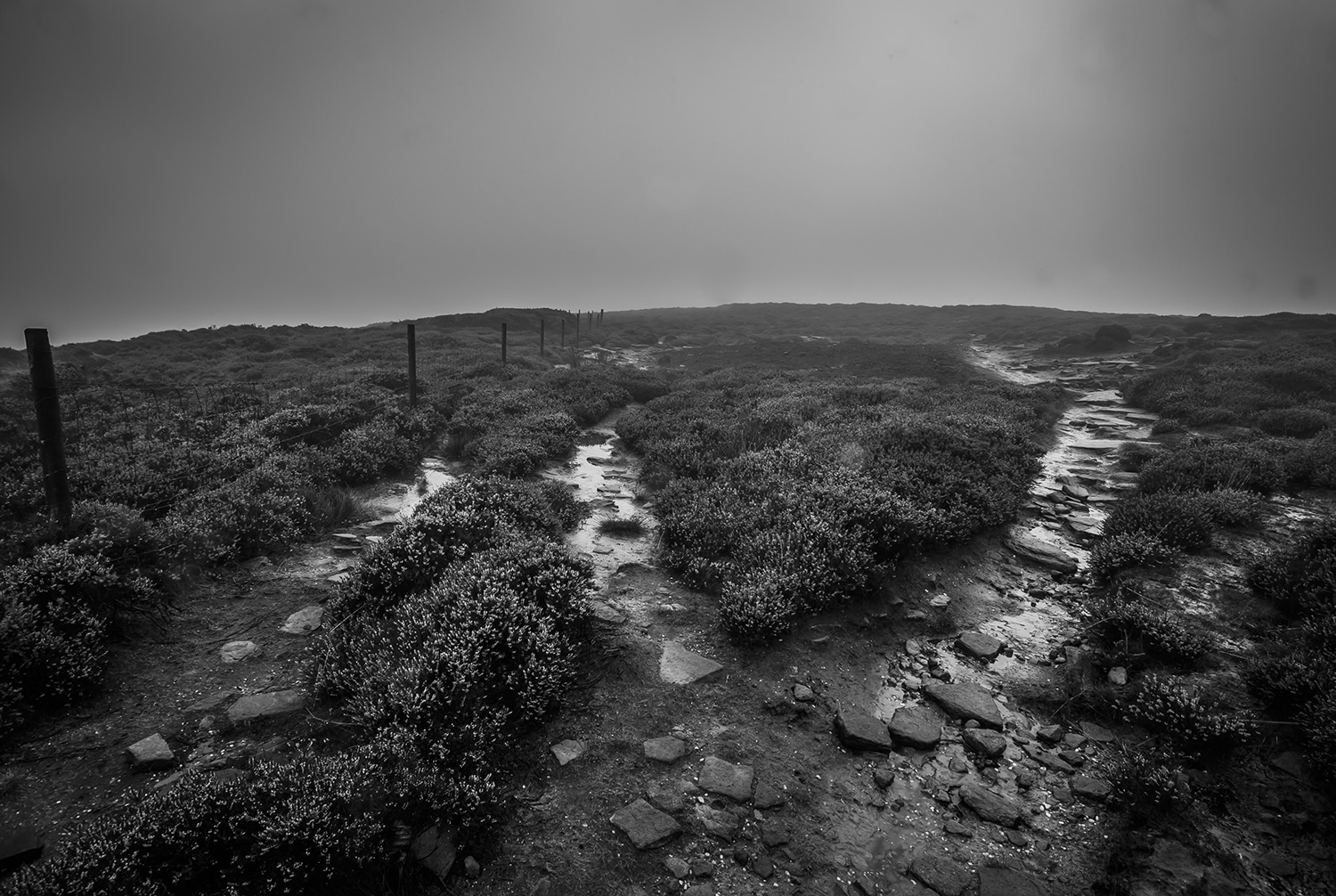 Kinder Scout Paths, Fine Art Landscape Peak District Landscapes Black and white prints