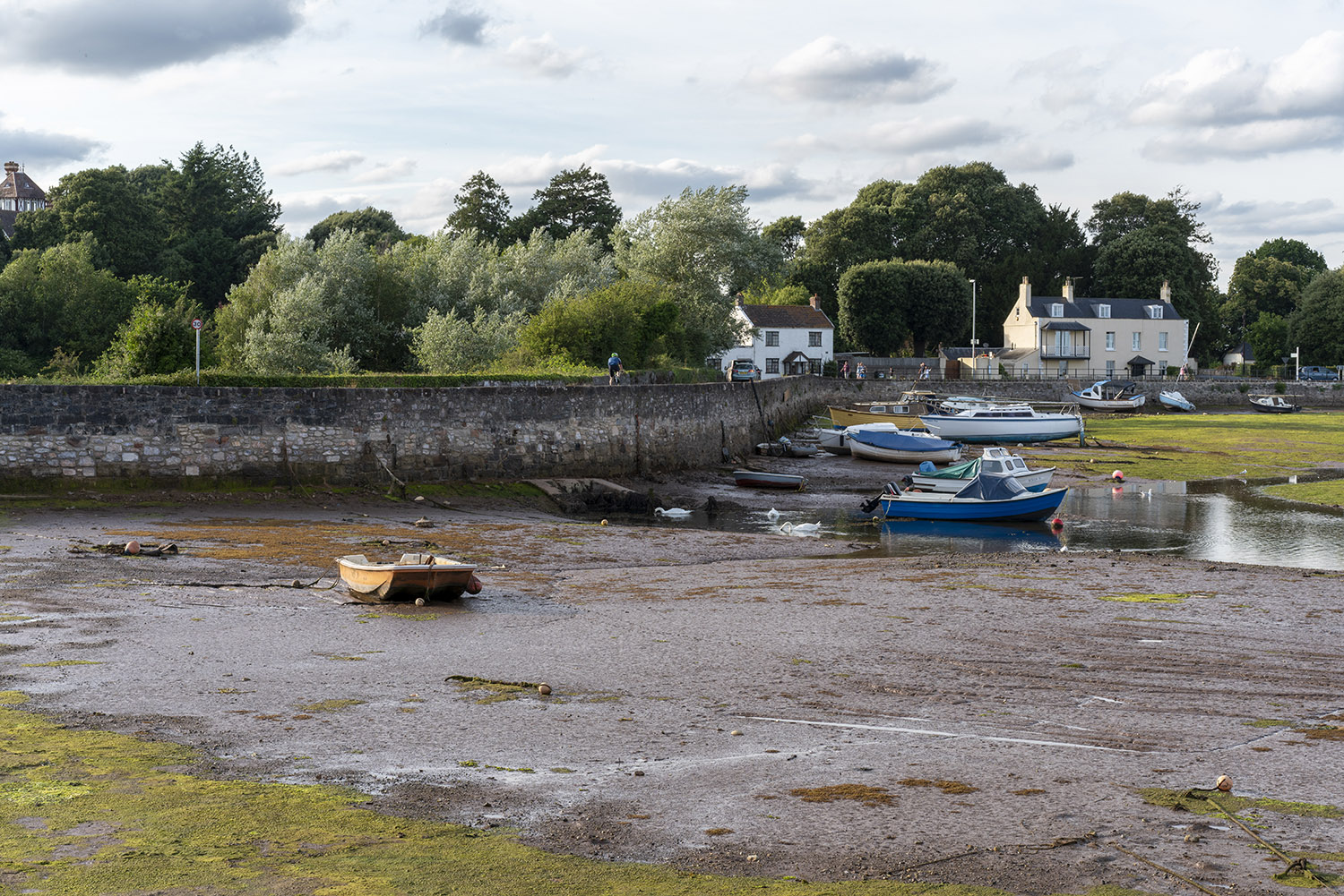 Low Tide, Devon Harbour Coastal Landscapes Coastal