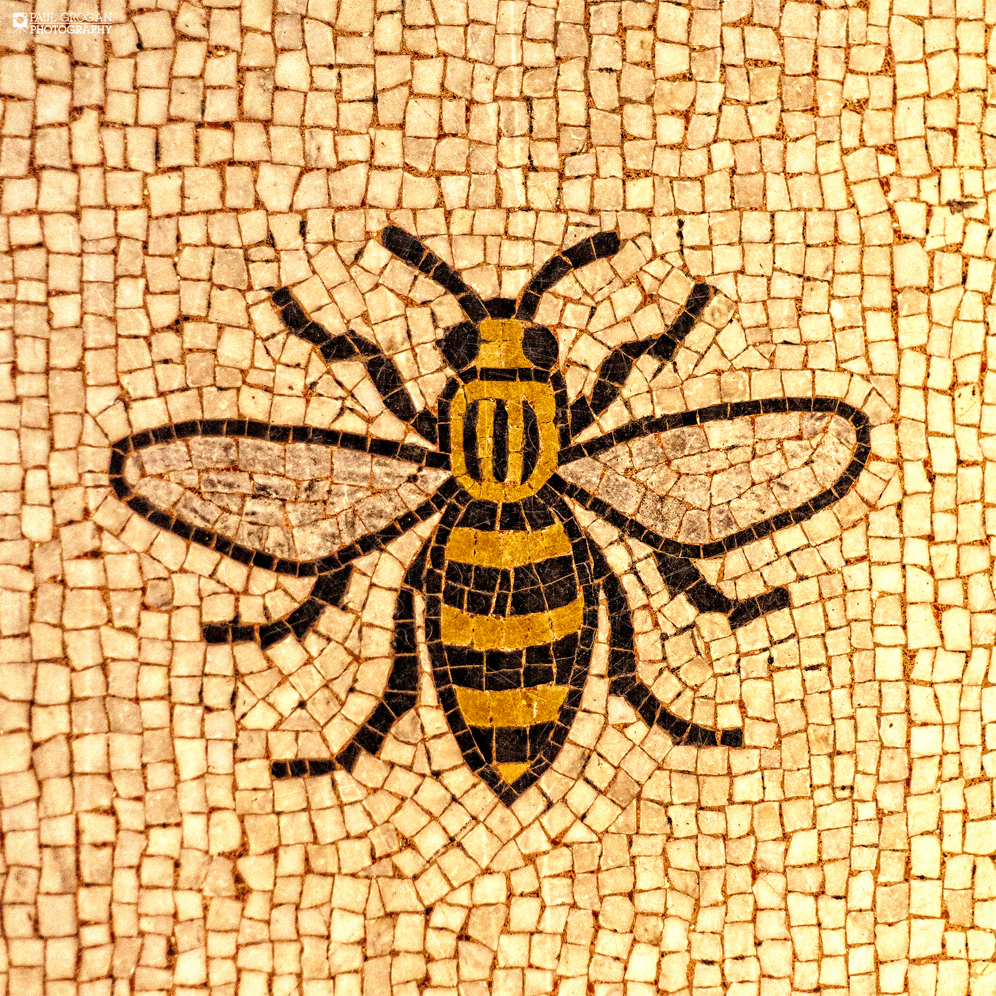 Manchester Worker Bee Framed Print Manchester Landscapes Bee 2