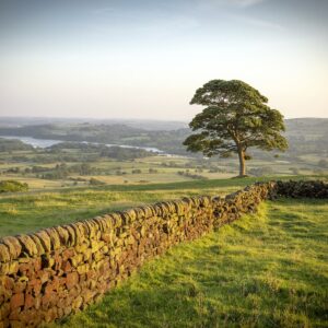 Peak District ‘Tree’ Colour Photograph Peak District Landscapes Clouds