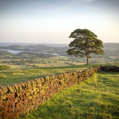 Peak District ‘Tree’ Colour Photograph Peak District Landscapes Clouds