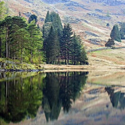 Reflections at Blea Tarn, Langdale Lake District Landscapes Blea Tarn