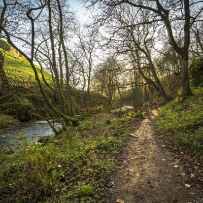 River Walk North Yorkshire Yorkshire Landscapes Autumn