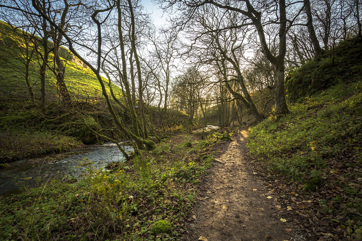 River Walk North Yorkshire Yorkshire Landscapes Autumn