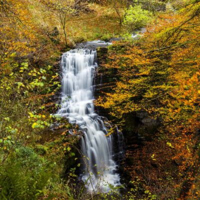 Scalebar Force Waterfall, Yorkshire Yorkshire Landscapes Autumn