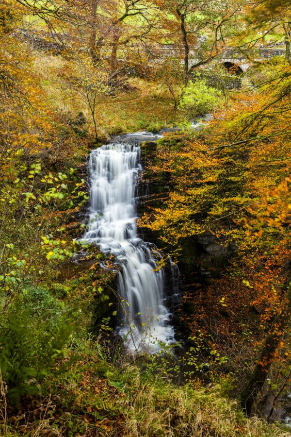 Scalebar Force Waterfall, Yorkshire Yorkshire Landscapes Autumn 2