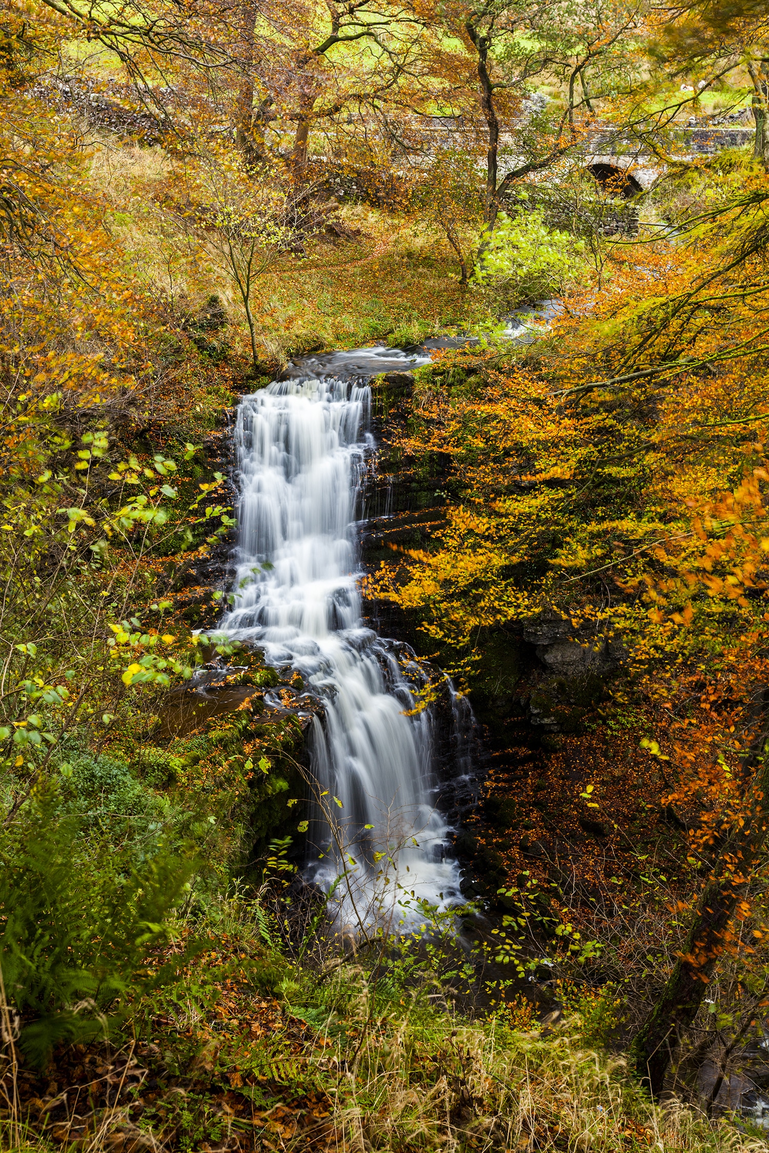 Scalebar Force Waterfall, Yorkshire Yorkshire Landscapes Autumn