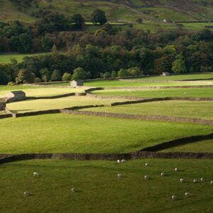 ‘Secret Swaledale’, Yorkshire Yorkshire Landscapes Autumn