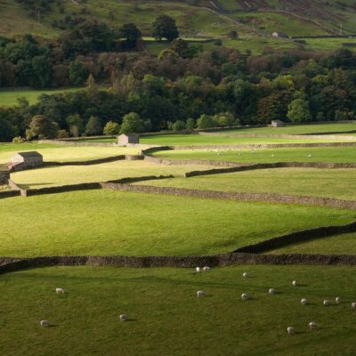 ‘Secret Swaledale’, Yorkshire Yorkshire Landscapes Autumn