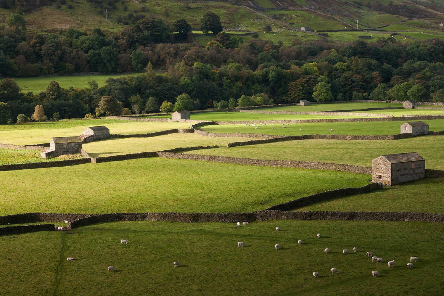 ‘Secret Swaledale’, Yorkshire Yorkshire Landscapes Autumn