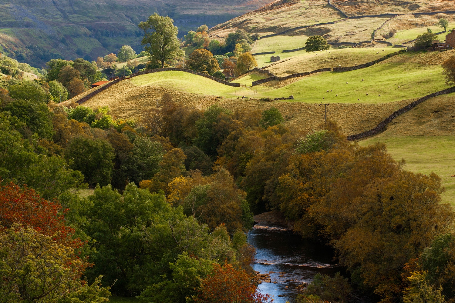 ‘Silvertop Hill’ Landscape Photo Yorkshire Landscapes Autumn 2