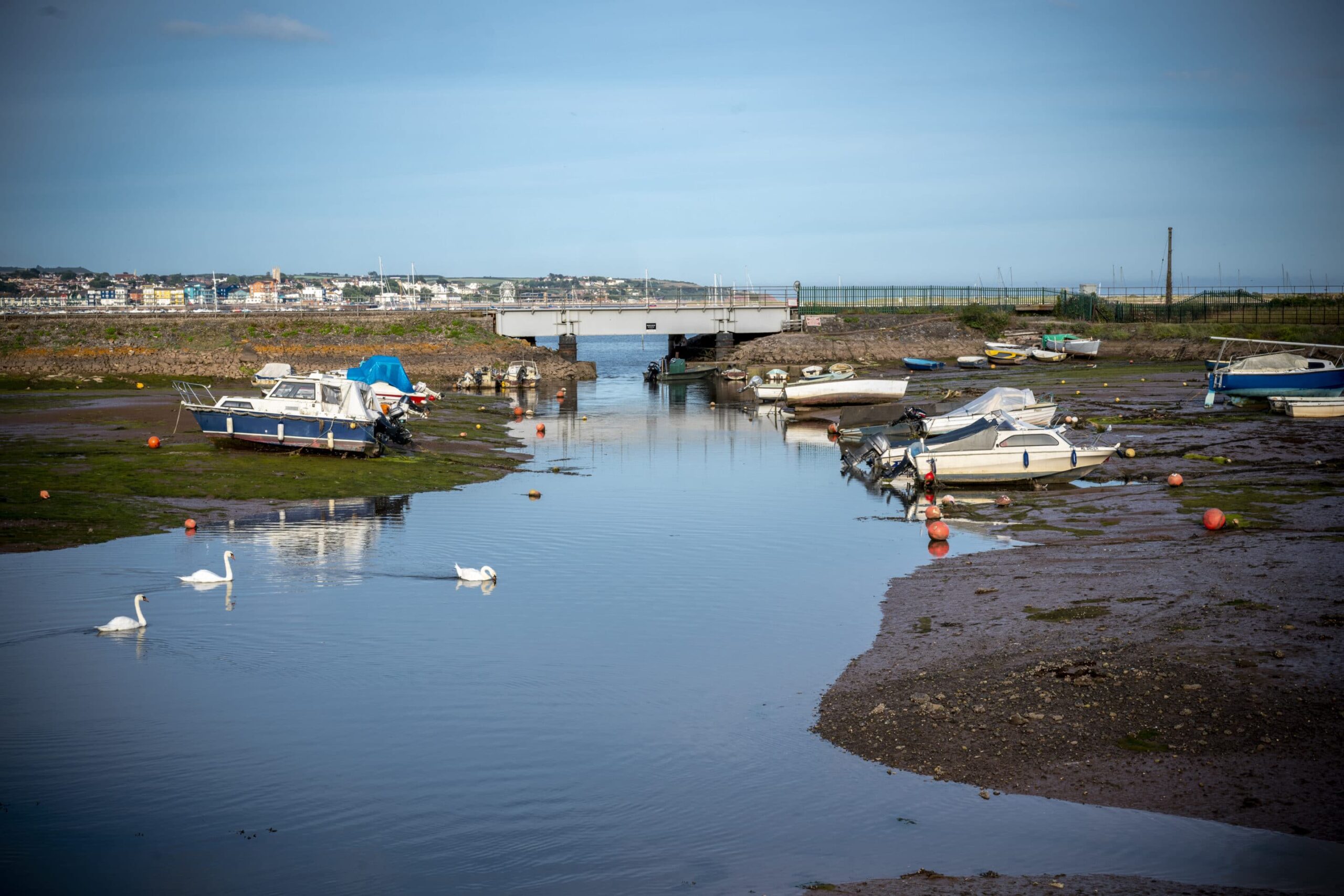 Starcross Harbour, Moored Boats and Swans Coastal Landscapes Coastal