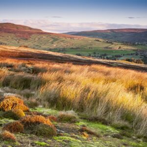 Morning Light Over Reeth, Yorkshire Yorkshire Landscapes Autumn