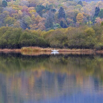 ‘Swan’ Elterwater Reflections, Lake District Lake District Landscapes Autumn