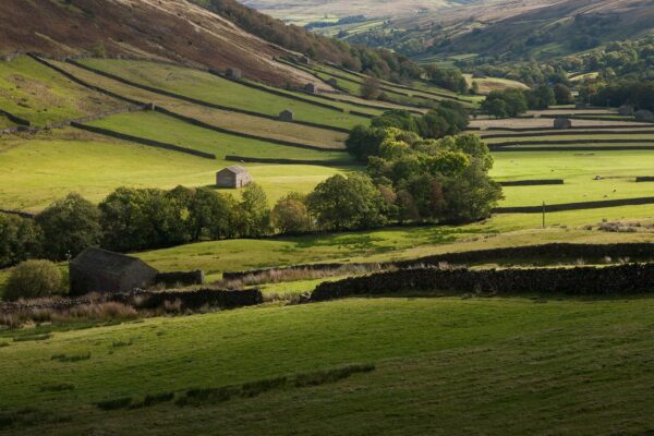 Sweeping Countryside in Swaledale, Yorkshire Yorkshire Landscapes Autumn 2