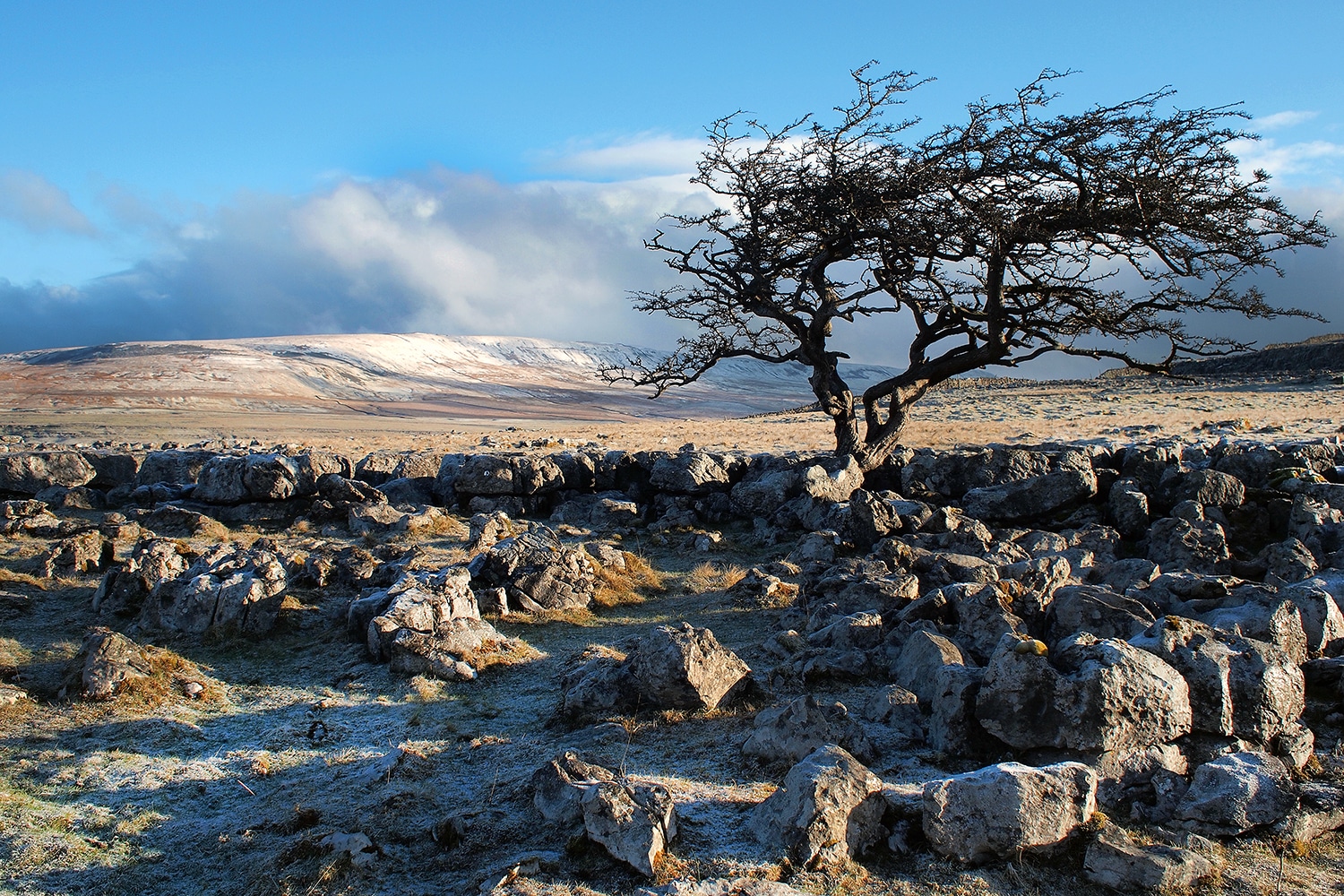 Twistleton Scar and Gragareth, Yorkshire Yorkshire Landscapes colour