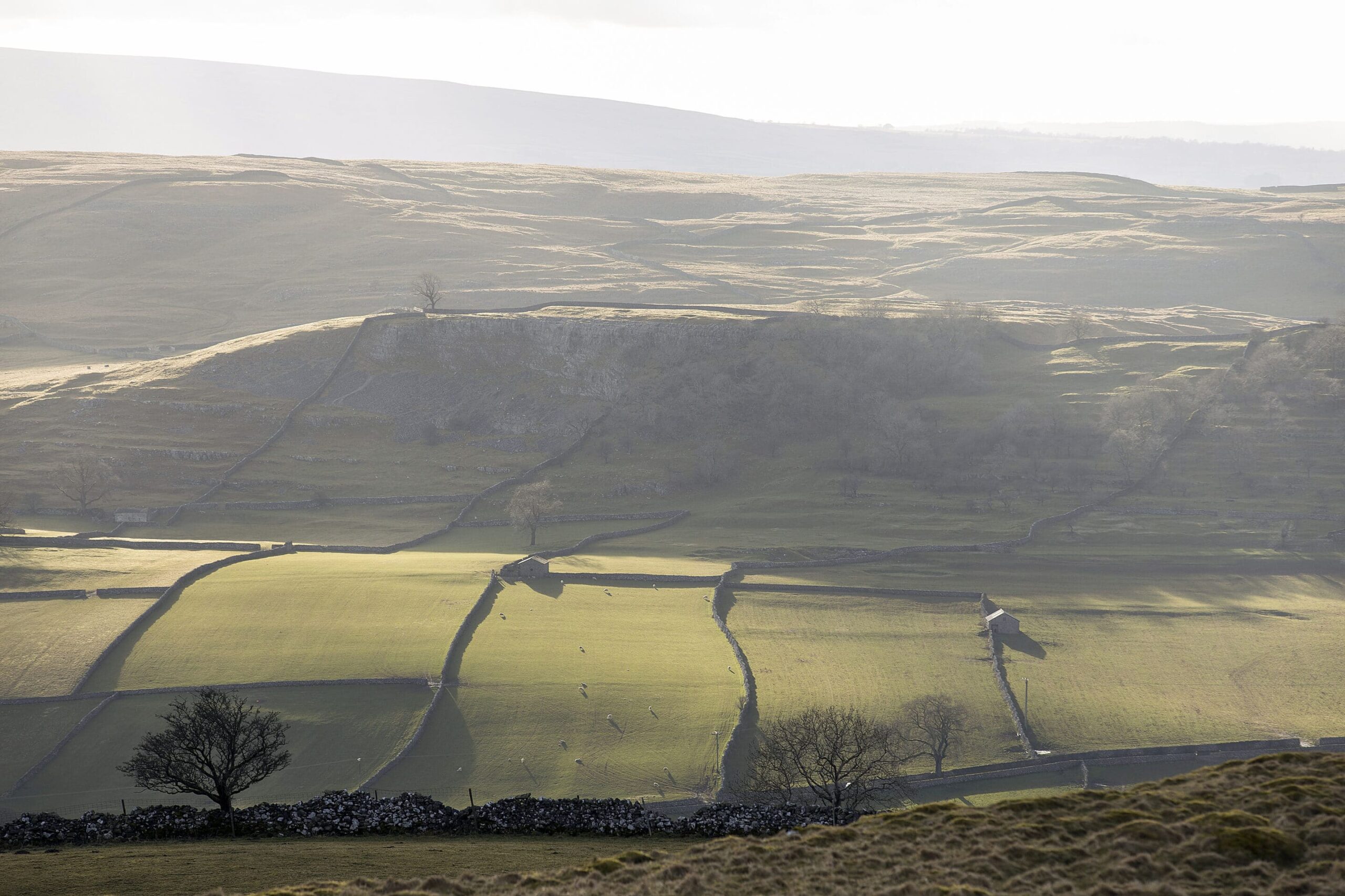 Yorkshire Dales, Giggleswick, Landscape Yorkshire Landscapes colour