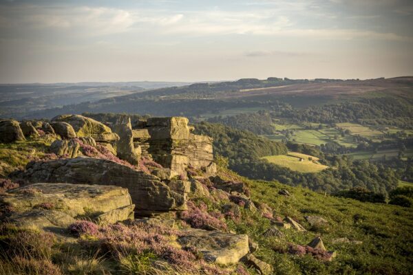Carhead Rocks, Heather Peak District Landscapes Carhead Rocks 2