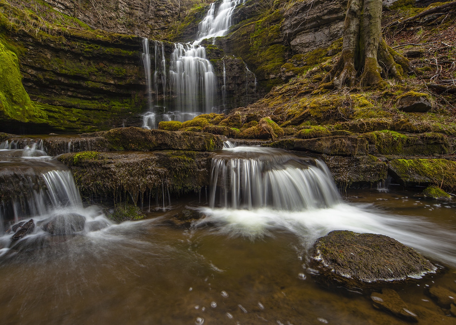 Scalebar Force, Yorkshire Landscape Yorkshire Landscapes Autumn