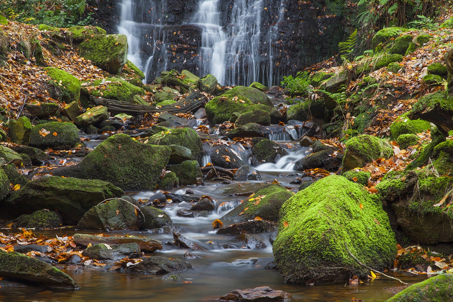 Tigers Clough Waterfall, Rivington Landscapes Photography Autumn