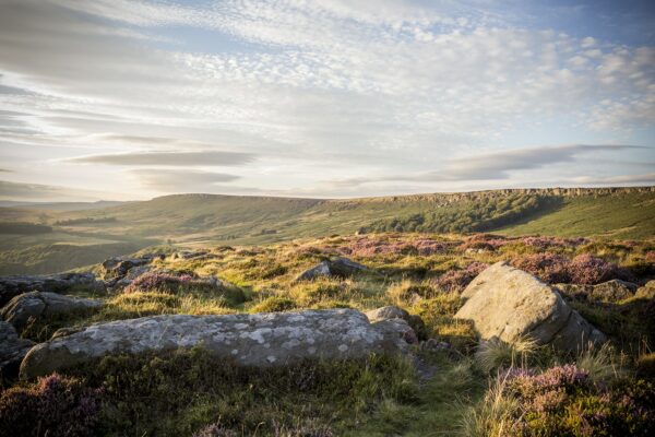 Peak District Heather, Colour Photograph Peak District Landscapes Clouds 2