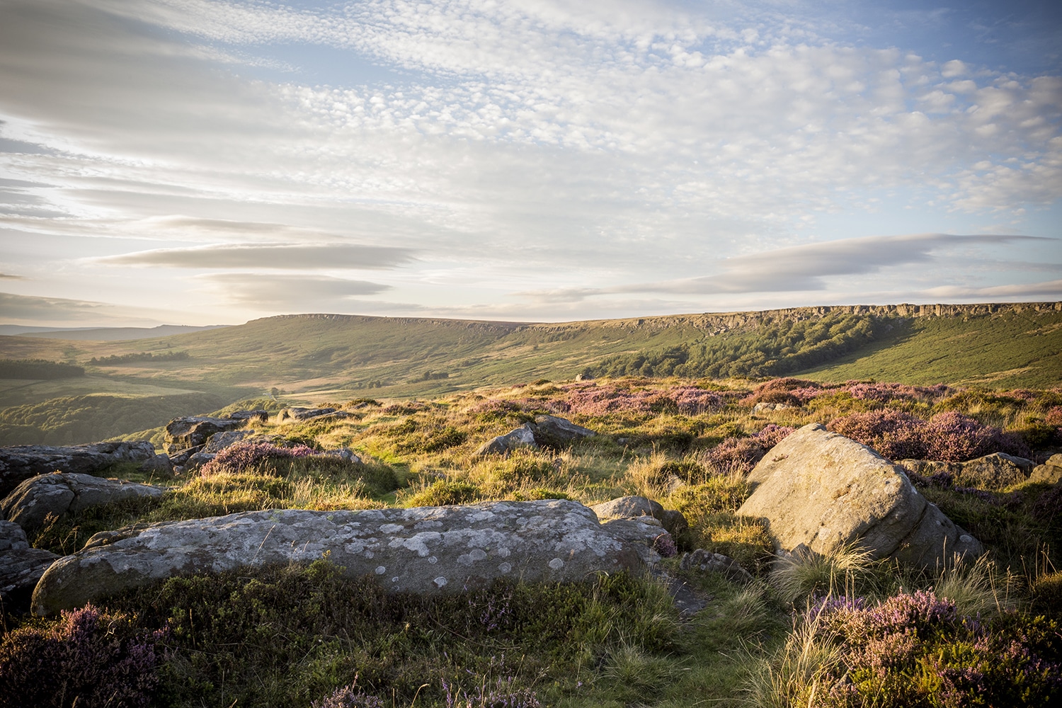 Peak District Heather, Colour Photograph Peak District Landscapes Clouds