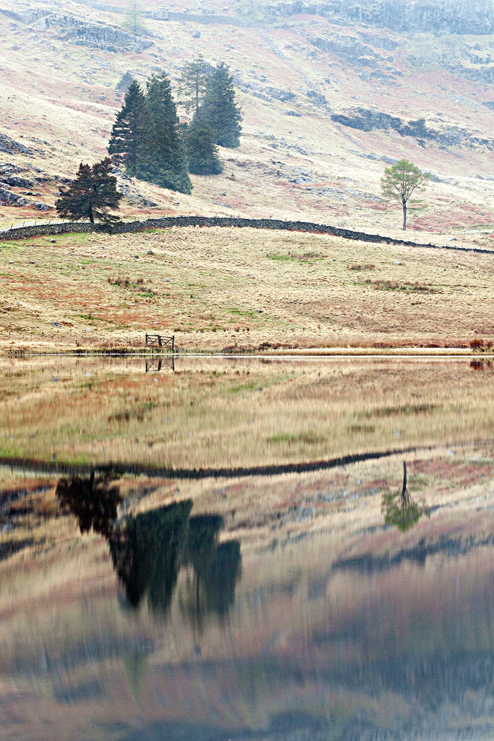 Stillness and Reflections, Blea Tarn Lake District Landscapes Blea Tarn 2