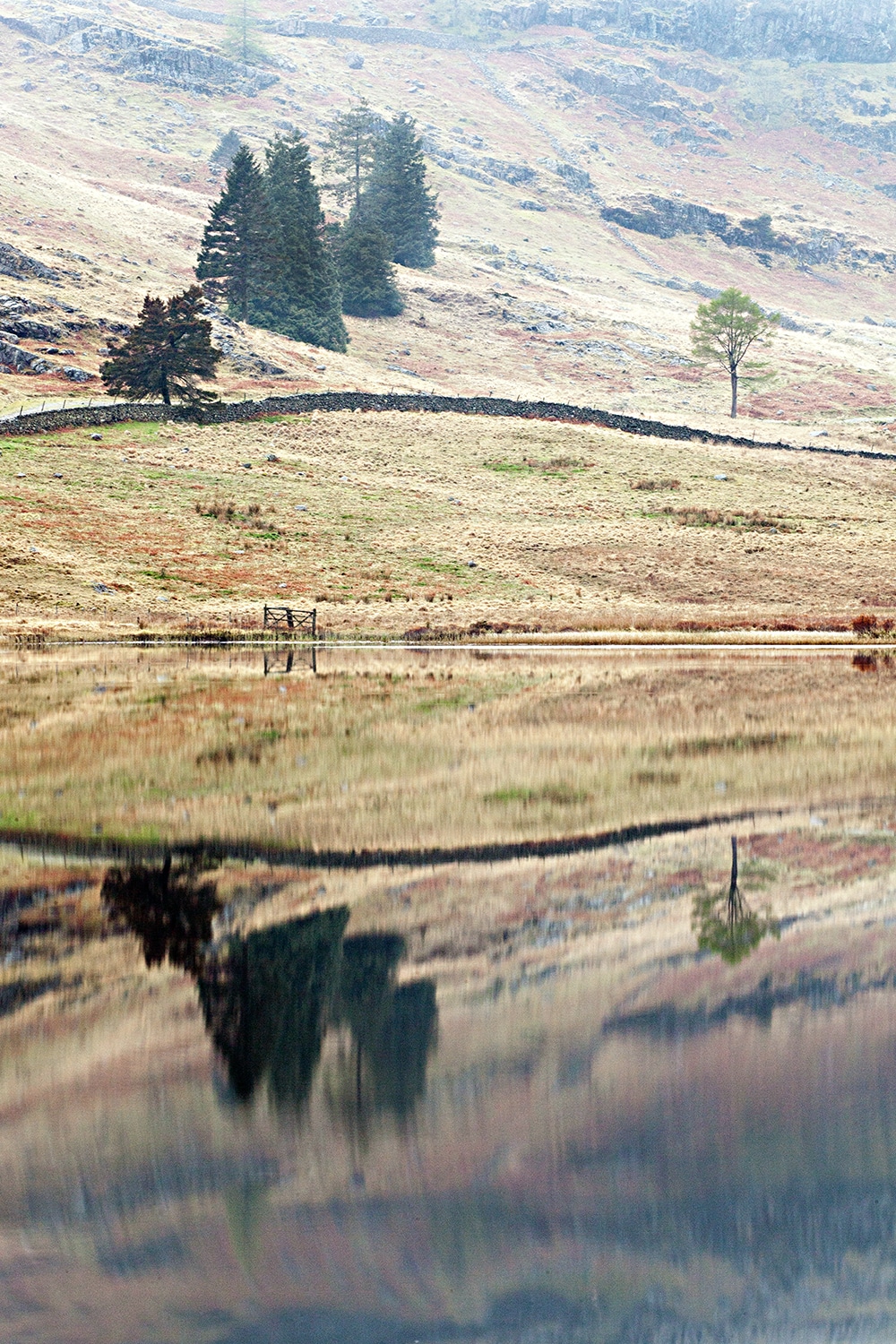 Stillness and Reflections, Blea Tarn Lake District Landscapes Blea Tarn