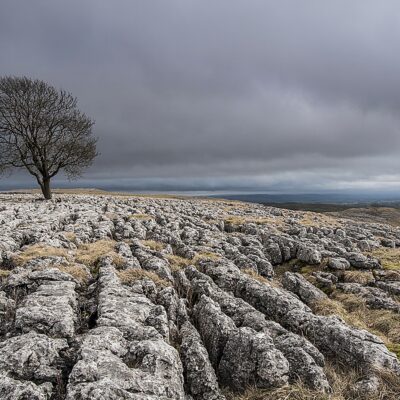 ‘The Tree’ Malham, Yorkshire Yorkshire Landscapes Clouds