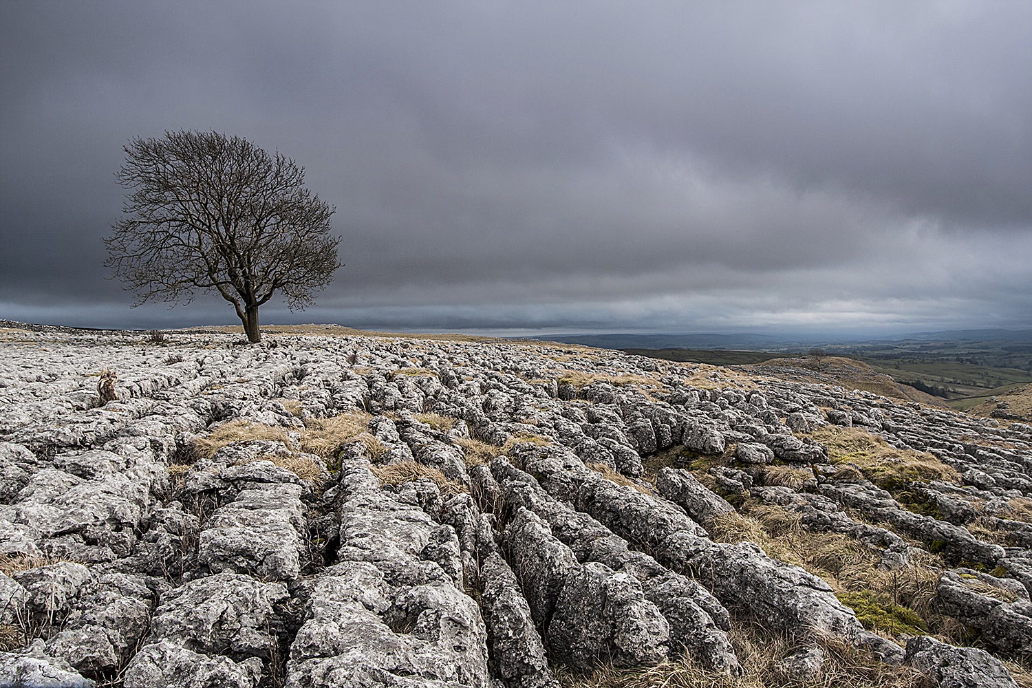 ‘The Tree’ Malham, Yorkshire Yorkshire Landscapes Clouds