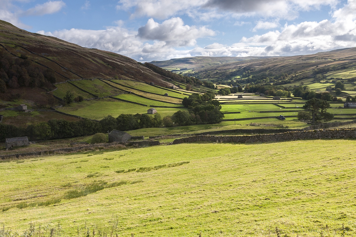 Thwaite barns, Swaledale, Yorkshire Yorkshire Landscapes colour